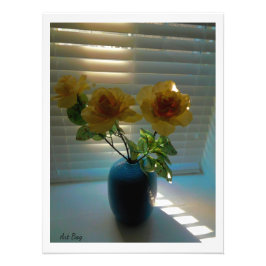 Foto Rosas à luz do sol (2)