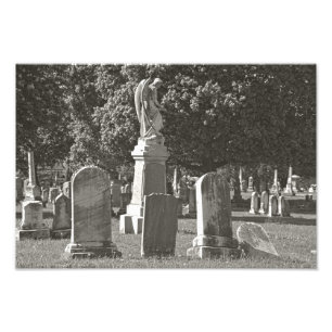 Foto Rosehill III