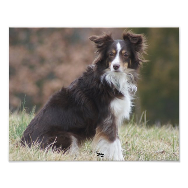 Foto Rosie 1 (Frente)