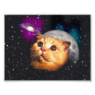 Foto Rosto de gato e lua