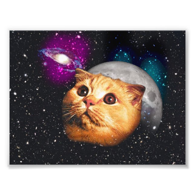 Foto Rosto de gato e lua (Frente)