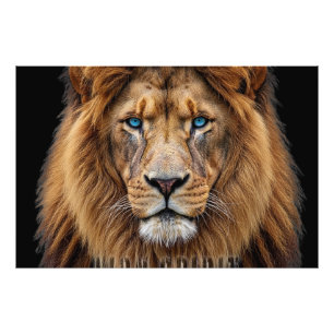 Foto Rosto Majestoso de Leão com Olhos Azuis Animais