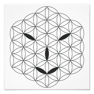 Foto Rosto sagrado - Arturiano 02, Black-Tr.