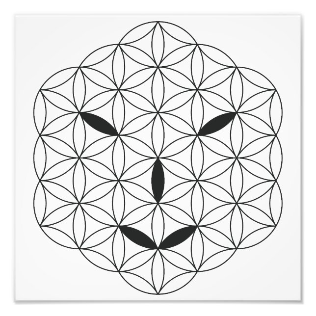 Foto Rosto sagrado - Arturiano 02, Black-Tr. (Frente)