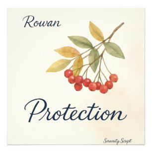 Foto Rowan — Proteção Coleção Serenity Script