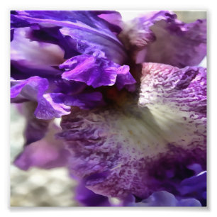Foto Roxo, Violeta e Mauve Iris Abstrato