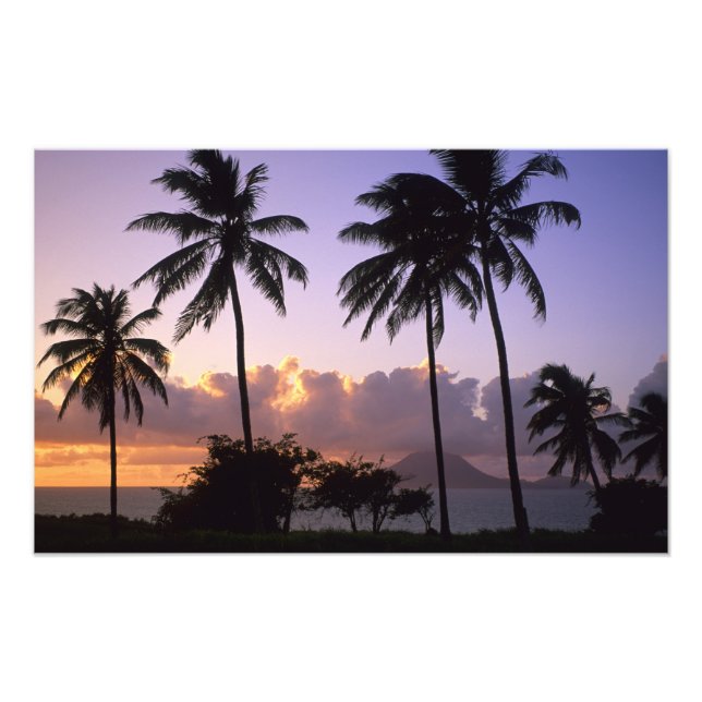 Foto Rua costeira. Gatinhos (Frente)