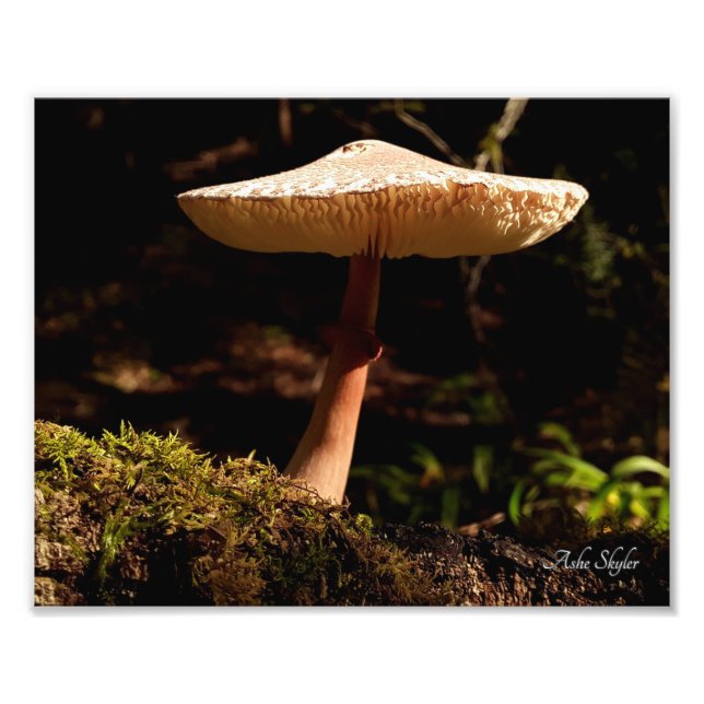 Foto Ruffles (Frente)