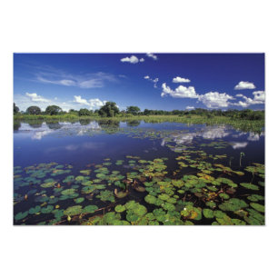 Foto S.A., Brasil, Vias Navegáveis em Pantanal