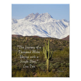 Foto Saguaro Cactus Snow Capaz Montanhas Arizona EUA