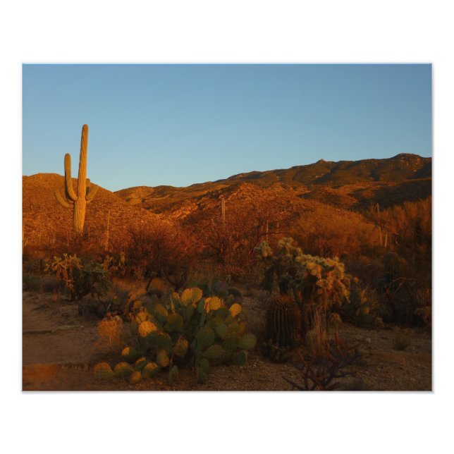 Foto Saguaro Sunset I Arizona Desert Landscape (Frente)