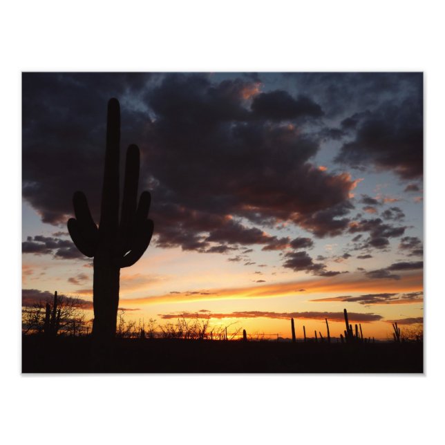 Foto Saguaro Sunset III Arizona Desert Landscape (Frente)