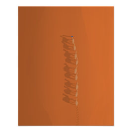 Foto Sahara Desert Marrocos | Ilustração aérea