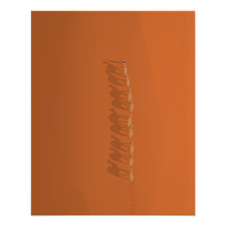 Foto Sahara Desert Marrocos | Ilustração aérea