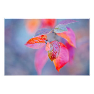 Foto Saídas de Cotonou elegantes