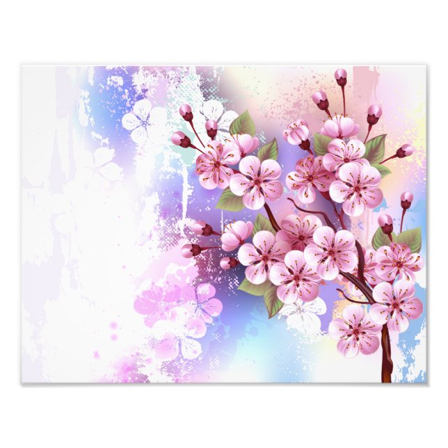 Foto Sakura rosa no fundo da pintura (Frente)