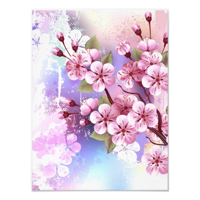 Foto Sakura rosa no fundo da pintura (Frente)