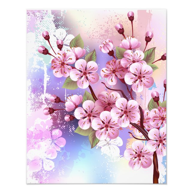 Foto Sakura rosa no fundo da pintura (Frente)