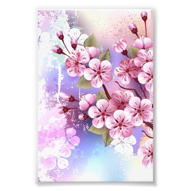 Foto Sakura rosa no fundo da pintura (Frente)