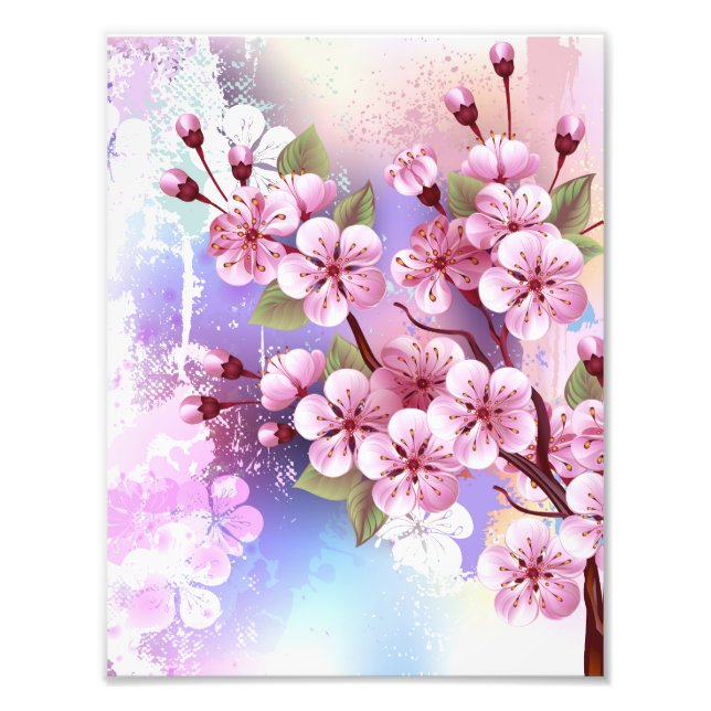 Foto Sakura rosa no fundo da pintura (Frente)