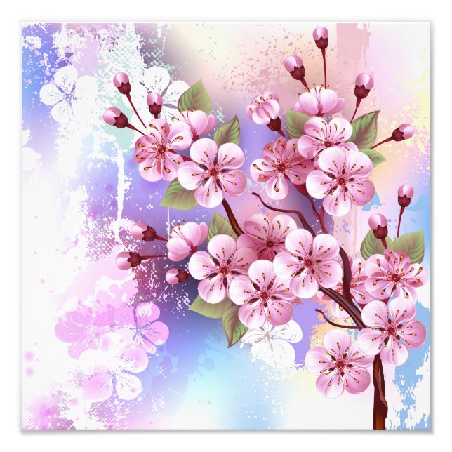 Foto Sakura rosa no fundo da pintura (Frente)