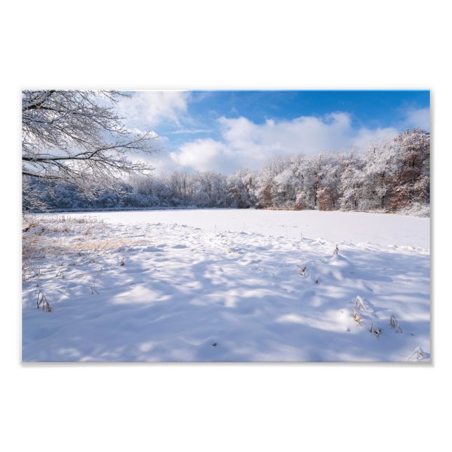 Foto Salem Colinas Pond e Forest Winter Landscape (Frente)