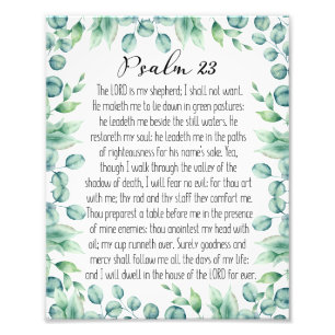 Foto Salmo 23 O Senhor É Meu Pastor, Eucalyptus