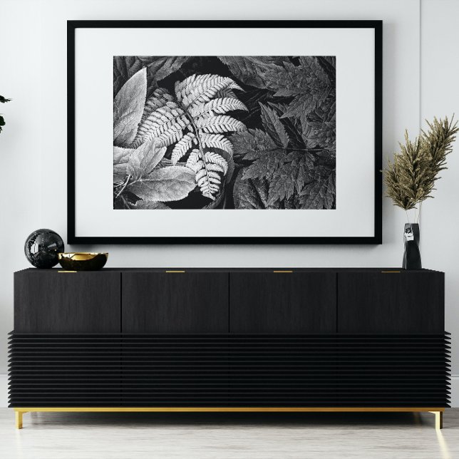 Foto Samambaia e Folhagem Preto e Branco (In Situ Framed)