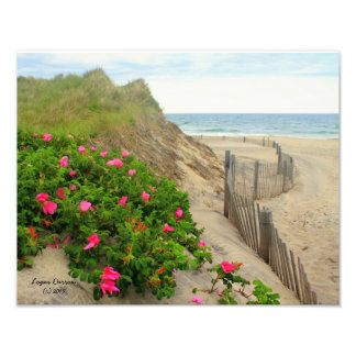 Foto Sand Dunes and Beach Rosas ~ Block Island, RI