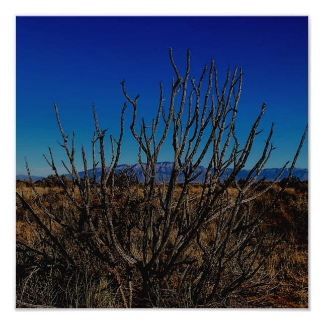 Foto Sandia Mountains Albuquerque  (Frente)