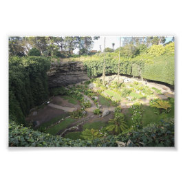 Foto Santuário Oculto de Umpherston Sinkhole