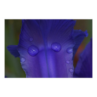 Foto Sapphire Serenity