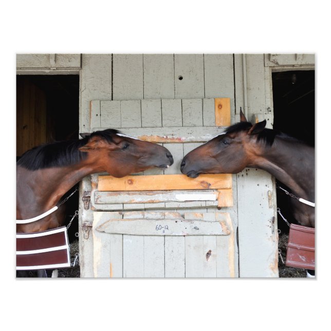 Foto Saratoga Love (Frente)