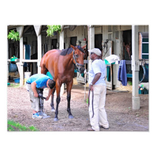 Foto Saratoga Racetrack histórica