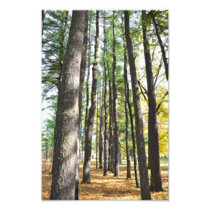 Foto Saratoga Spa State Park