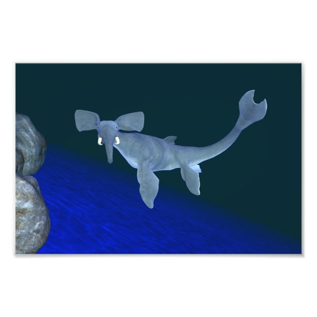 Foto Seafant (Frente)