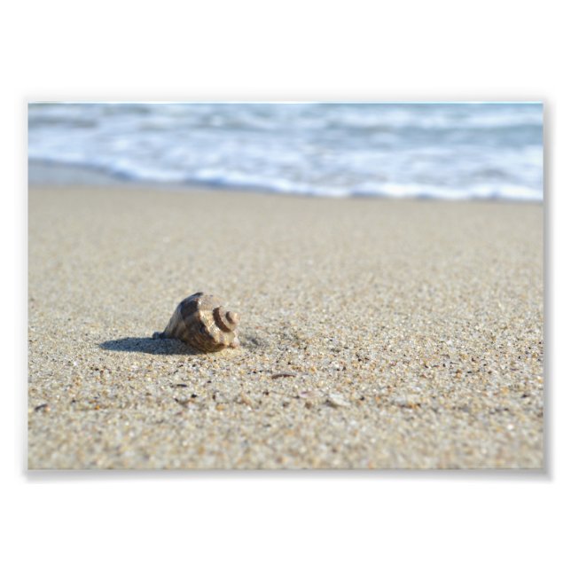 Foto Seashell (Frente)
