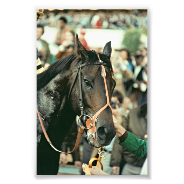 Foto Seattle Slew Thorogenie 1978 (Frente)