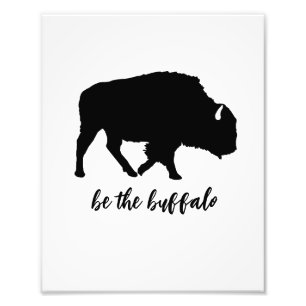 Foto Seja a Silhouette de Buffalo