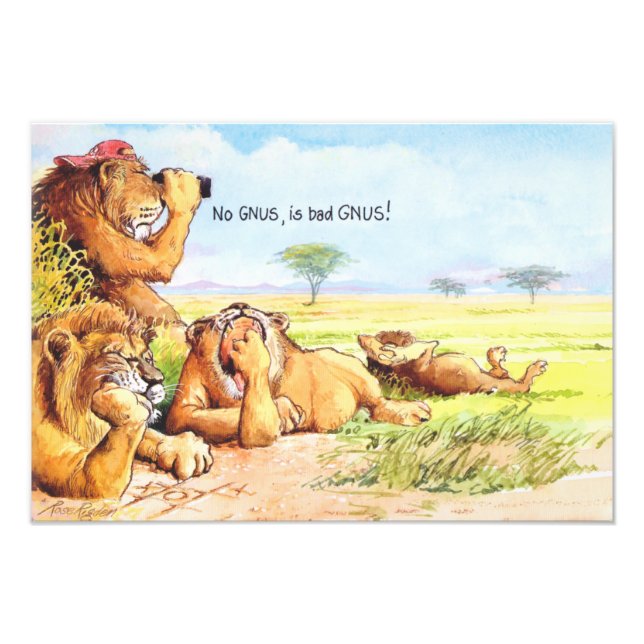 Foto Sem gnus (Frente)