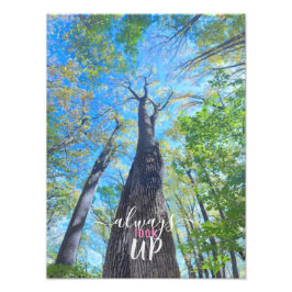 Foto Sempre Olhe o céu do outono e as folhas