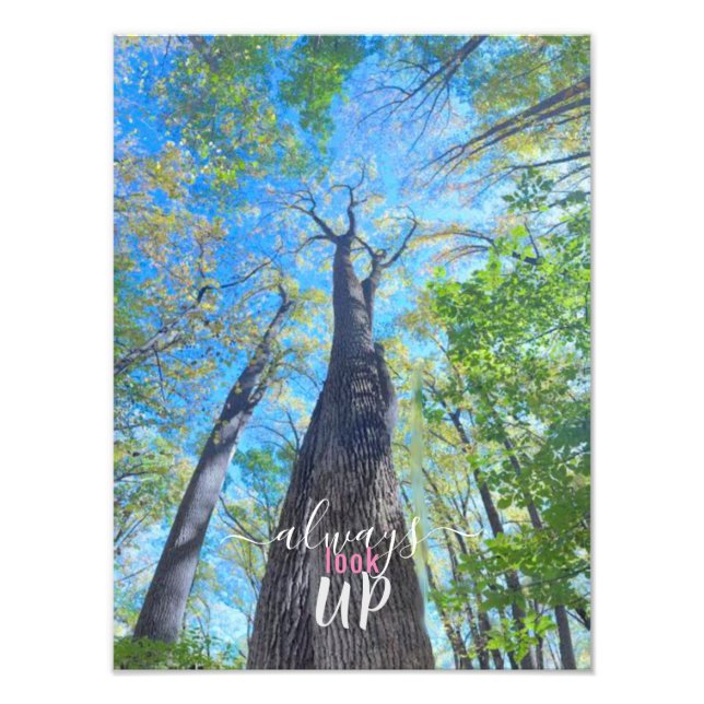 Foto Sempre Olhe o céu do outono e as folhas (Frente)