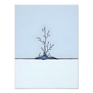 Foto Sentinela silenciosa na neve