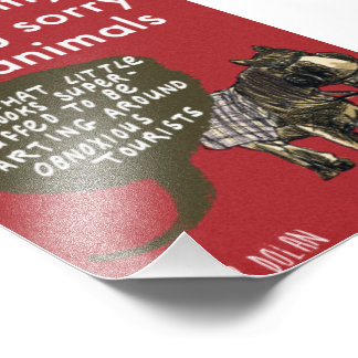 Foto Sentir pena dos animais