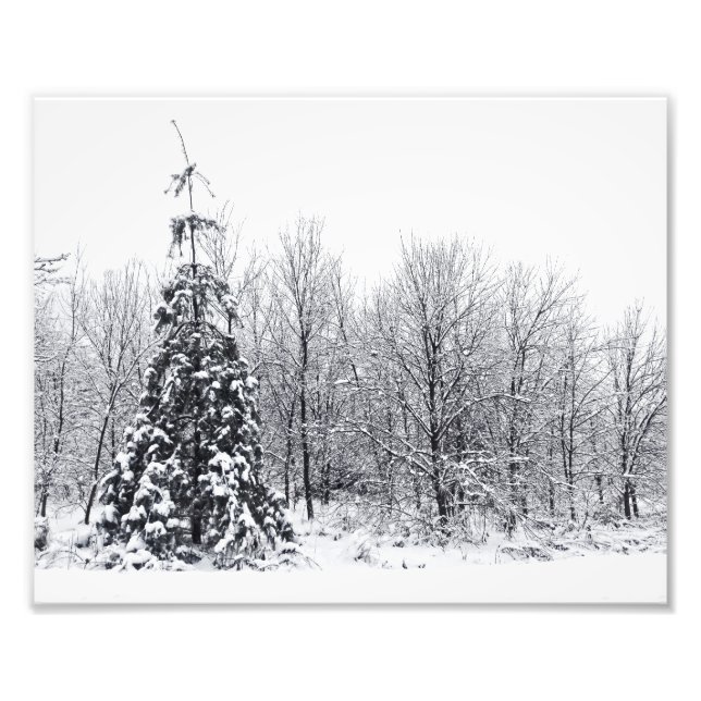 Foto separação com certeza (Frente)