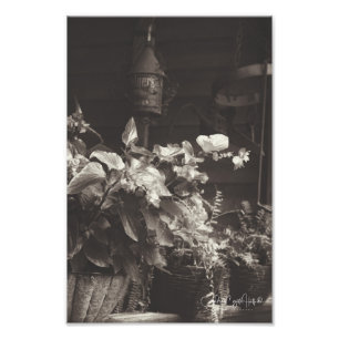 Foto Sepia Floral