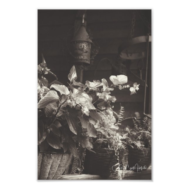 Foto Sepia Floral (Frente)