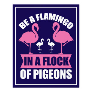Foto Ser Flamingo Num Bando De Pombos-18716