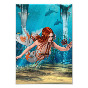 Foto Sereia e lírio de mar