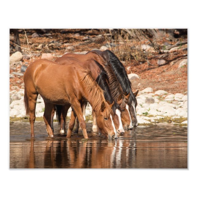 Foto Serendipidade (Frente)